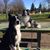 Gayla Gunderson's profile image