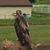 Dennis Hartranft's profile image