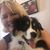 Kim Willard's profile image