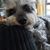 Evalyne Caruba's profile image