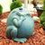 Carol White's profile image