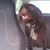 Jan-Marie Bearfield's profile image