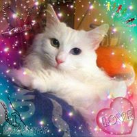 Jeanette Lynn's profile image
