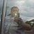 Shawn Pease's profile image