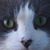 Tracey Gray-Miles's profile image