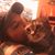 Tina Marie Perjes's profile image