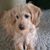 Keila Lehew's profile image