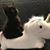 Jane Moore's profile image