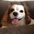Natalie Vincent Engvold's profile image