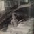 Donna Culwell's profile image