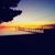 Chrissy Williams's profile image