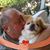 Michael David Womack's profile image