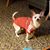 Denise Tony Madaus's profile image