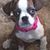 Pamela Buie Ell Prokop's profile image