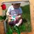 Rachael Doss Ehlers's profile image