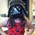 Sarah Wight's profile image