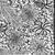 Patricia Hess's profile image