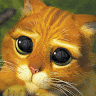 Anna M.'s profile image