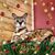 Lynn Newman's profile image