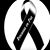 Vero Canelas's profile image