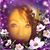 Michelle Williams Andrews's profile image
