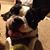 Traci Collette Kerr's profile image
