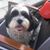 Wendy Hudak's profile image