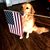 Andrew Tepavchevich's profile image