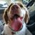 Laura Cook Johnson's profile image