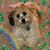 Sharon Edmunds's profile image
