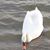 Cindy Ellis Bauman's profile image