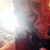 Andrenia Parker's profile image