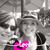 Gretchen Dugan's profile image