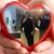 Benson Foti's profile image