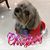 Jane Fulkert's profile image