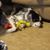 Shirley Ivie Williams's profile image