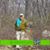 Joe Tag's profile image