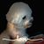 Shirley Lisk's profile image