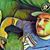 Chris Taylor's profile image