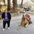 Carol Dapcic's profile image