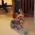 Carolyn E Bentley's profile image