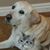 Cindy Middleton's profile image