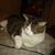 Kathe Powers's profile image