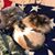 Debbie Goetz Zenkner's profile image