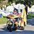 Wayne Cohen's profile image