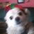Donna Bunting's profile image