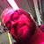 Jesse Miller's profile image