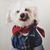Gilbert Dy Sy's profile image