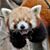 Robert Wright's profile image