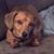 Julie Schendel's profile image